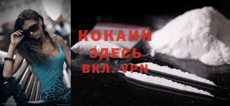 Cocaine Эквадор Санкт-Петербург